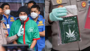 hikayat pohon ganja